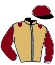 casaque portée par Nicco Mlle A. jockey du cheval de course ANNA CARIBEA, information pmu ZETURF