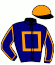 casaque portée par Boutin Hug. jockey du cheval de course FRENCHY, information pmu ZETURF