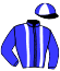 casaque portée par Puillet-roda Emi. jockey du cheval de course NUMERO CINQ, information pmu ZETURF casaque portée par Puillet-roda Emi. jockey du cheval de course NUMERO CINQ, information pmu ZETURF