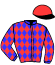 casaque portée par Geray P. jockey du cheval de course FACTO PRIOR, information pmu ZETURF casaque portée par Geray P. jockey du cheval de course FACTO PRIOR, information pmu ZETURF