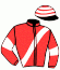 casaque portée par Saussaye V. jockey du cheval de course INDIAN MYSTIC, information pmu ZETURF