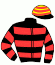casaque portée par Raffin E. jockey du cheval de course HONNEUR DE BLAY, information pmu ZETURF casaque portée par Raffin E. jockey du cheval de course HONNEUR DE BLAY, information pmu ZETURF