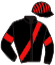 casaque portée par Piton J. Ch. jockey du cheval de course MADAME AF DJUPMYRA, information pmu ZETURF casaque portée par Piton J. Ch. jockey du cheval de course MADAME AF DJUPMYRA, information pmu ZETURF