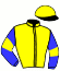 casaque portée par Pimbonnet R. jockey du cheval de course SAWAF, information pmu ZETURF casaque portée par Pimbonnet R. jockey du cheval de course SAWAF, information pmu ZETURF