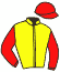 casaque portée par Molins Mme Amb. jockey du cheval de course TUPPES, information pmu ZETURF casaque portée par Molins Mme Amb. jockey du cheval de course TUPPES, information pmu ZETURF