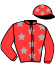 casaque portée par Pellerot P. jockey du cheval de course KEY WEST DE CHENU, information pmu ZETURF casaque portée par Pellerot P. jockey du cheval de course KEY WEST DE CHENU, information pmu ZETURF