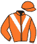 casaque portée par Provost D. jockey du cheval de course IRINA, information pmu ZETURF casaque portée par Provost D. jockey du cheval de course IRINA, information pmu ZETURF