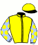 casaque portée par Murzabayev B. jockey du cheval de course VIVIENNE WELLS, information pmu ZETURF