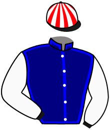 casaque portée par Egan Joh. jockey du cheval de course LOUIS BARTHAS, information pmu ZETURF casaque portée par Egan Joh. jockey du cheval de course LOUIS BARTHAS, information pmu ZETURF