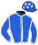 casaque portée par Abrivard M. jockey du cheval de course JESSY LUCKY, information pmu ZETURF