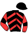 casaque portée par Lecoq M. jockey du cheval de course IQUEM MARVIC, information pmu ZETURF casaque portée par Lecoq M. jockey du cheval de course IQUEM MARVIC, information pmu ZETURF