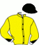 casaque portée par Stefani M. jockey du cheval de course BRILLANT FERM, information pmu ZETURF casaque portée par Stefani M. jockey du cheval de course BRILLANT FERM, information pmu ZETURF