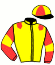 casaque portée par Rochard B. jockey du cheval de course GUIDE MOI FORGAN, information pmu ZETURF