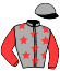casaque portée par Lagadeuc F. jockey du cheval de course JUST A WINNER, information pmu ZETURF