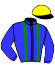 casaque portée par Thomain D. jockey du cheval de course KAVIARISSIME, information pmu ZETURF casaque portée par Thomain D. jockey du cheval de course KAVIARISSIME, information pmu ZETURF