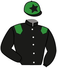 casaque portée par Defontaine Q. jockey du cheval de course ROMAN STAR THEYSS, information pmu ZETURF
