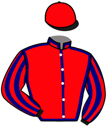 casaque portée par Mcmonagle D. B. jockey du cheval de course APPLES AND BANANAS, information pmu ZETURF casaque portée par Mcmonagle D. B. jockey du cheval de course APPLES AND BANANAS, information pmu ZETURF
