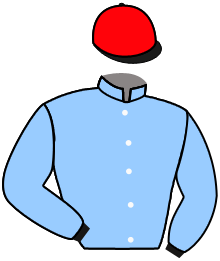 casaque portée par Lefebvre Mr C. jockey du cheval de course HO LA VOILA, information pmu ZETURF