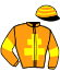 casaque portée par Cherbonnel D. jockey du cheval de course JADE PAROYO, information pmu ZETURF