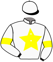 casaque portée par Madamet A. jockey du cheval de course BOTICELLI, information pmu ZETURF casaque portée par Madamet A. jockey du cheval de course BOTICELLI, information pmu ZETURF