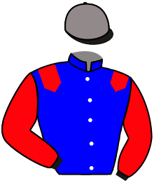 casaque portée par Veron F. jockey du cheval de course INDIAN DE GASCOGNE, information pmu ZETURF