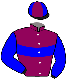 casaque portée par Mcmonagle D. B. jockey du cheval de course TENNESSEE STUD, information pmu ZETURF casaque portée par Mcmonagle D. B. jockey du cheval de course TENNESSEE STUD, information pmu ZETURF