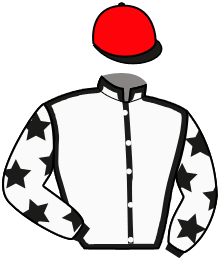 casaque portée par Hogan Dyl. E. jockey du cheval de course TIEMPO ALEGRE, information pmu ZETURF casaque portée par Hogan Dyl. E. jockey du cheval de course TIEMPO ALEGRE, information pmu ZETURF