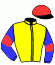 casaque portée par Depypere Tim. jockey du cheval de course ISCO DE WATOU, information pmu ZETURF