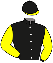 casaque portée par Weissmeier Mlle E. R. jockey du cheval de course SIYOUCHKA, information pmu ZETURF