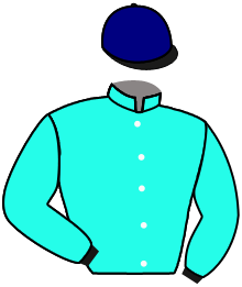 casaque portée par Pasquier S. jockey du cheval de course POPEYE DOYLE, information pmu ZETURF casaque portée par Pasquier S. jockey du cheval de course POPEYE DOYLE, information pmu ZETURF